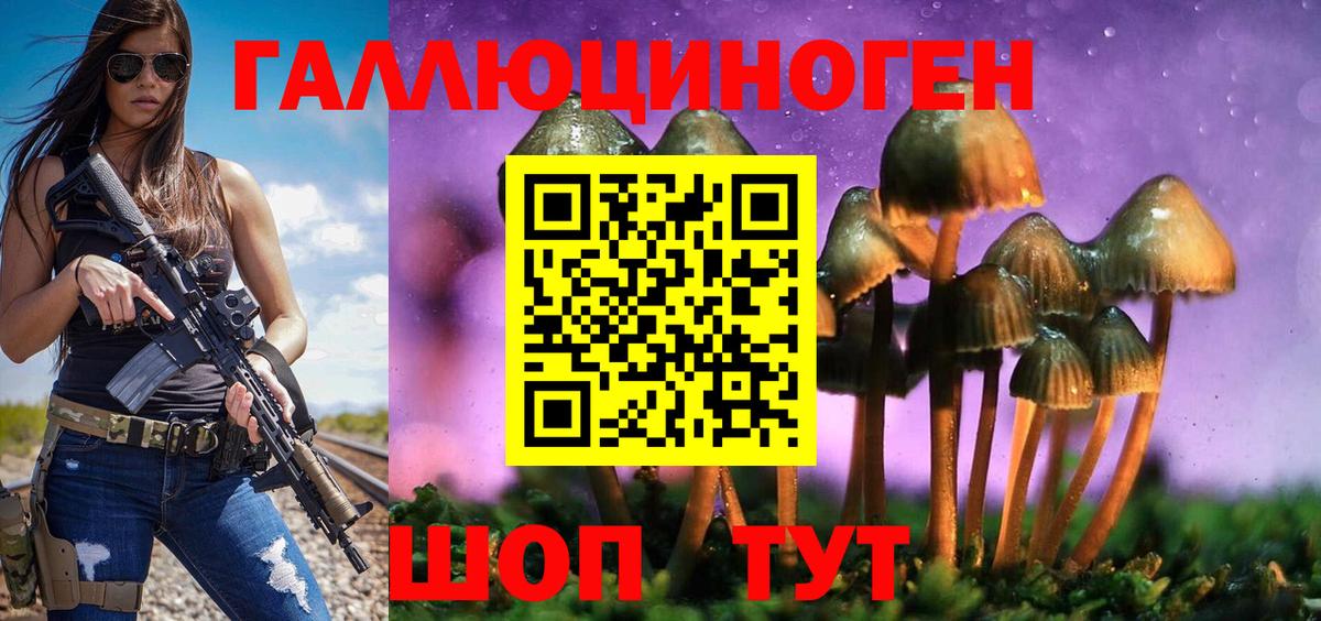 Псилоцибиновые грибы прущие грибы Приморско-Ахтарск