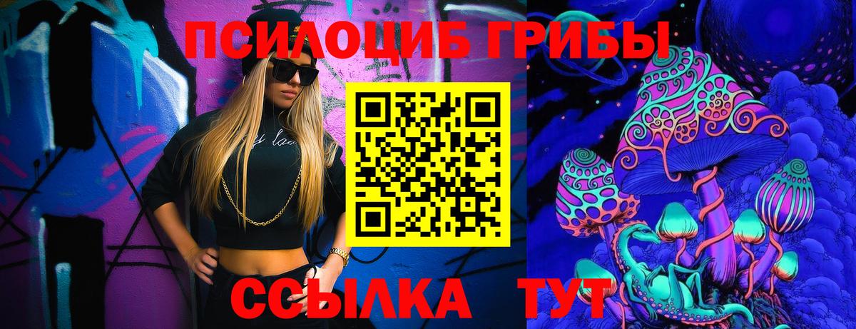 Приморско-Ахтарск  купить наркотики сайты  Вход с VPN  Галлюциногенные грибы мухоморы  Псилоцибиновые грибы ЛСД 